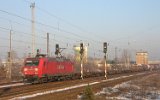 060109Schoenefeld 006