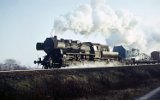 750130Berlin Wuhlheide 501