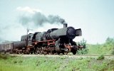 750705Berlin Wuhlheide 501