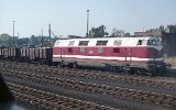 911008Brandenburg 015