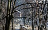 Forsthaus 1975
