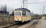 Marienehe 1981