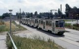 Marienehe 1992