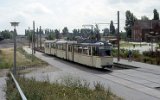 Marienehe 1992