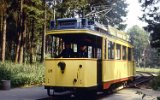 Neuer Friedhof 1981