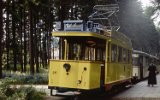 Neuer Friedhof 1981