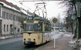 Lustgarten 1993