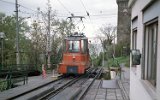 Vetta Scorcola 1995