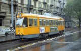 Sabotino Cap 1995