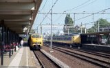 Gouda 2004