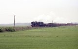 Ciosaniec 1993