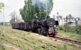 Sława 1994