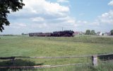 Kolsko 1994