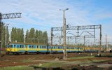 Leszno 2006