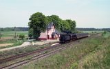 Lipiny 1993
