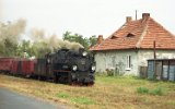 Dzierzbin 1999