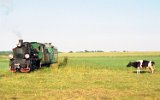 witokrzyska Kolejka Dojazdowa 2000