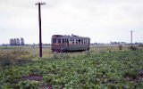 Perna ( Kroniewice-Ostrowy Wskotorowe 1993)