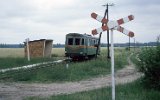 Woodrza ( Kroniewice-Ostrowy Wskotorowe 1993)