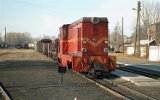 Kroniewice 1996
