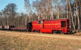 bei Ostrwki (Kroniewice-Boniewo-Jerzmanowo 1996)