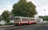 Kroniewice 1996