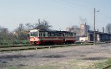 Lwwek Wskotorowy 1991