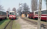 Trzcianka Zachodnia 1991