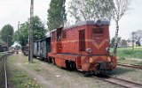 Trzcianka Zachodnia 1992