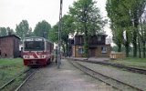 Trzcianka Zachodnia 1994