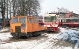Opalenica 1996