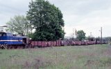 910523Witaszyce 028