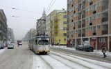 060120Poznan 014
