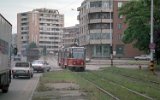 Strada Nufărului 1998