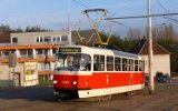 Zenklova 2007